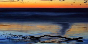 Can Europe survive without US defence? Surprisingly, the Baltic sea nations are showing the way | Elisabeth Braw – The Guardian