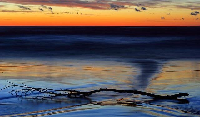 Can Europe survive without US defence? Surprisingly, the Baltic sea nations are showing the way | Elisabeth Braw – The Guardian