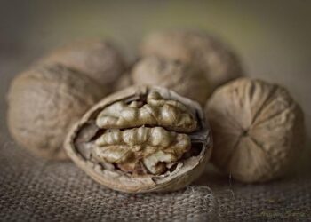 Marc Maron, Shane Gillis, Zach Woods denounce Saudi comedy festival with A-list lineup – Los Angeles Times