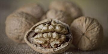 Marc Maron, Shane Gillis, Zach Woods denounce Saudi comedy festival with A-list lineup – Los Angeles Times