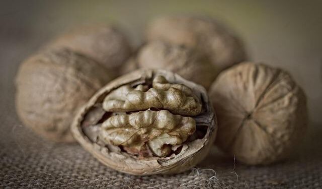 Marc Maron, Shane Gillis, Zach Woods denounce Saudi comedy festival with A-list lineup – Los Angeles Times