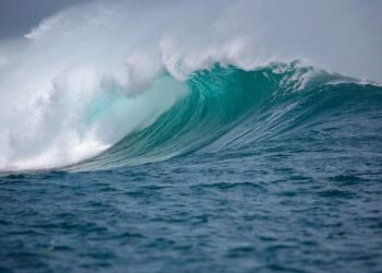 9 Indians in Saudi Arabia killed in a traffic crash – The New Arab