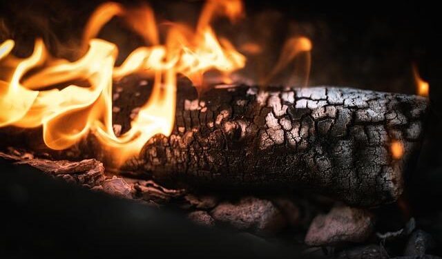 12 dead after fire breaks out in south China apartment – Mathrubhumi English