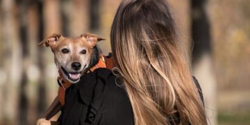 Factory owner detained after viral assault in New Cairo – Egypt Independent