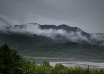 Idris Veitch of Amsterdam, Netherlands on Life, Lessons & Legacy – Bold Journey Magazine