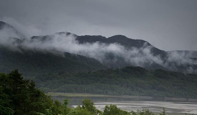 Idris Veitch of Amsterdam, Netherlands on Life, Lessons & Legacy – Bold Journey Magazine