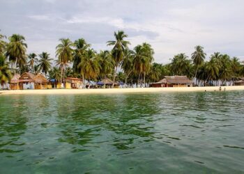 Media, Expert Advocate Urgent Action on Climate Threat to Abuja Indigenous Communities – THISDAYLIVE