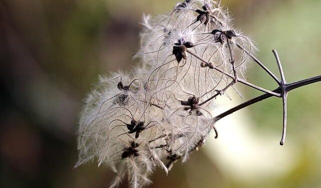 KPHB plots, flats sold at record prices – The Times of India