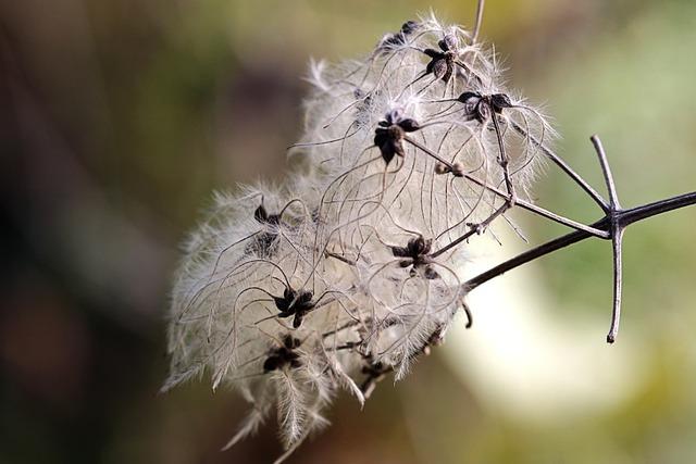 KPHB plots, flats sold at record prices – The Times of India