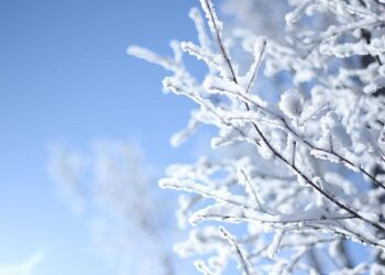 PHOTO GALLERY: China’s Harbin ice and snow festival 2026 in spectacular scenes – Ahram Online