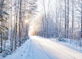 Changchun ice park opens indoor bar made entirely of ice – China Daily