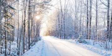Changchun ice park opens indoor bar made entirely of ice – China Daily
