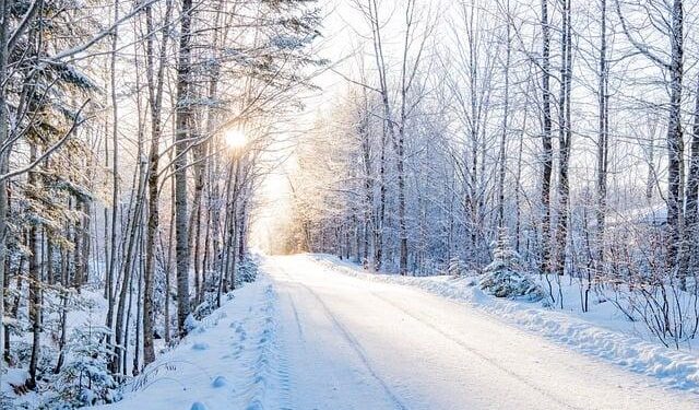 Changchun ice park opens indoor bar made entirely of ice – China Daily