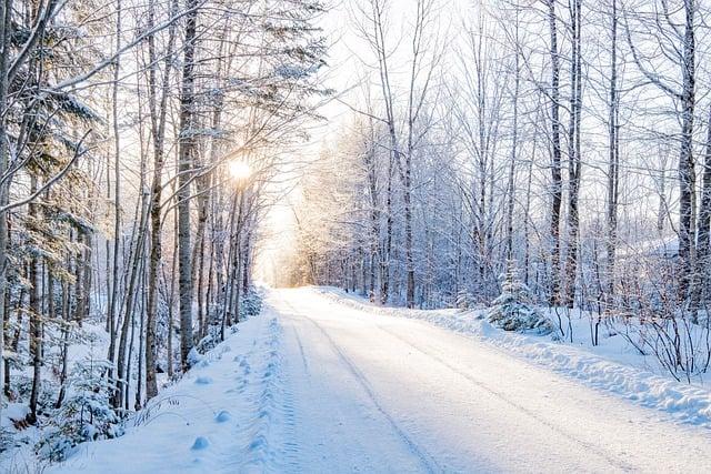 Changchun ice park opens indoor bar made entirely of ice – China Daily
