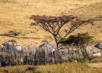 Mara killing case: Accused remain behind bars amid ongoing investigations – thecitizen.co.tz