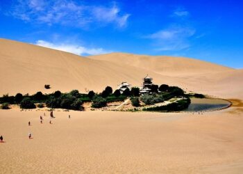 The Lagosian Oasis: What It’s Really Like to Surf in Lagos, Nigeria – SURFER Magazine