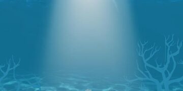 Sustainability awareness assessment for university-level students in Cairo, Egypt – Nature