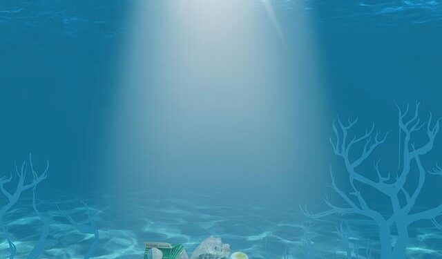 Sustainability awareness assessment for university-level students in Cairo, Egypt – Nature