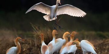 Multiple US embassies are telling Americans they cannot evacuate or help them get out of the Middle East – Business Insider