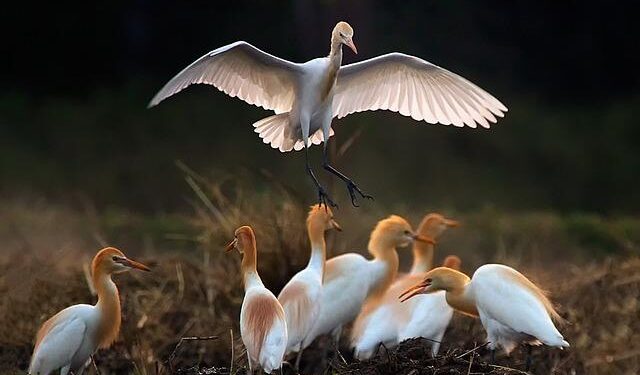 Multiple US embassies are telling Americans they cannot evacuate or help them get out of the Middle East – Business Insider