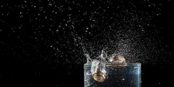 Egypt opens submerged antiquities exhibition in port city Alexandria – Xinhua