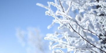 Economy&Life | NE China’s Harbin enters heating season – Xinhua