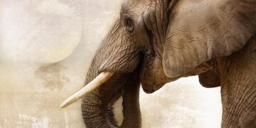 Threat of further violence looms after Mexican cartel rampage – BBC