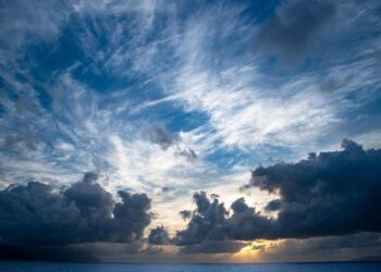 OAS > Calendar > Event – OAS.org