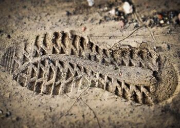 Mark Carney flexes his Japanese during visit with Japan’s prime minister – NOW Toronto