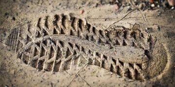 Mark Carney flexes his Japanese during visit with Japan’s prime minister – NOW Toronto