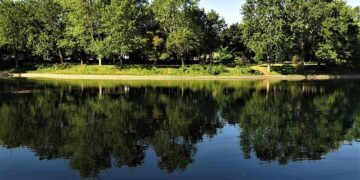 Montréal to host FIGO World Congress 2027 – FIGO.org