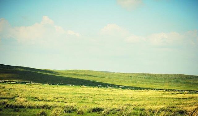 New GOL Nonstop Flight to Rio de Janeiro From JFK This Summer – Upgraded Points