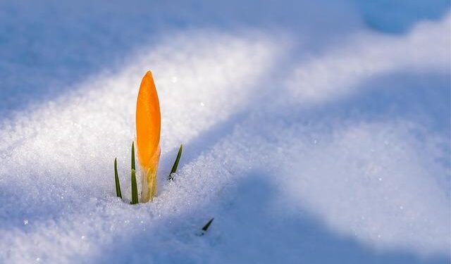 Experts urge informed planning for spring break in Mexico after cartel-related violence – Press of Atlantic City