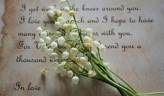 Poetry, song bridge cultures at China-Myanmar friendship event in Yangon – Global Times