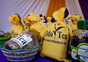 Kenyan Sheila Chepkirui defends title at 2026 Nagoya Women’s Marathon – Athletics Illustrated