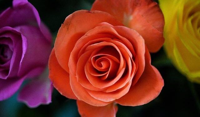 4 Takeaways From Jon Rahm’s Win at LIV Golf Hong Kong – FOX Sports