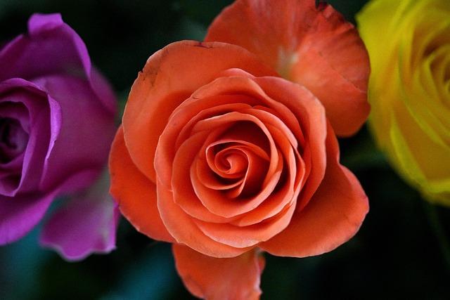 4 Takeaways From Jon Rahm’s Win at LIV Golf Hong Kong – FOX Sports