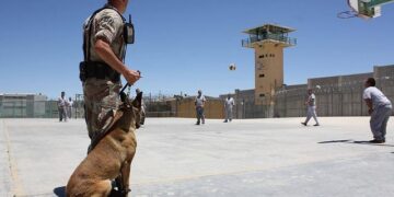 Court officer serves Gerson at hotel over R$42.7 million Flamengo claim – OneFootball