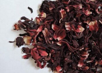 War-weary Sudanese rebuilding capital Khartoum brick by brick | Daily Sabah – Daily Sabah