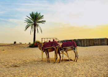 Can the Jordan-Israel peace treaty survive damage done from the Gaza War? – Atlantic Council