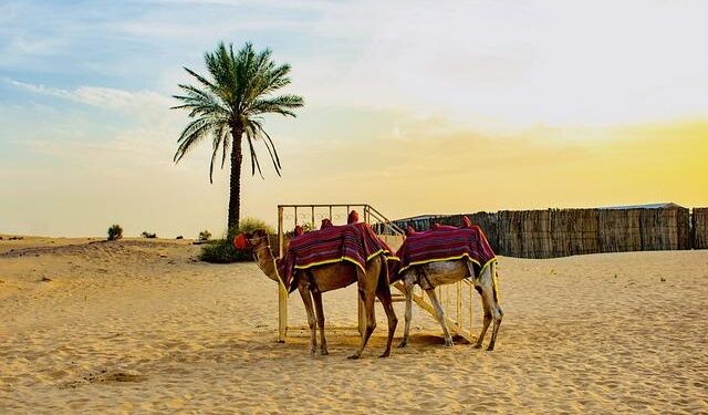 Can the Jordan-Israel peace treaty survive damage done from the Gaza War? – Atlantic Council