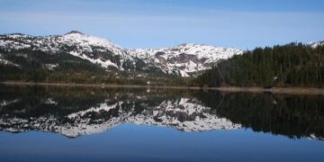 Prince William turns down Kate’s coffee – because it wasn’t decaf – Sky News