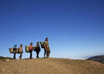 ‘Ding Yi: The Winding Path’ at Contemporary Gallery Kunming and Anthropology Museum of Yunnan University, China – Lisson Gallery