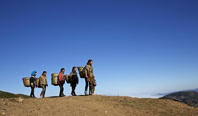 ‘Ding Yi: The Winding Path’ at Contemporary Gallery Kunming and Anthropology Museum of Yunnan University, China – Lisson Gallery