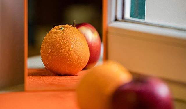 Modular Installation Reimagines Unfinished Structures at Limbo Museum in Accra, Ghana – ArchDaily