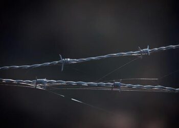 Safeguarding Academic Freedom: The Dar es Salaam Annex to the Kampala Declaration – African Arguments