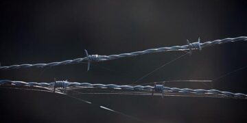 Safeguarding Academic Freedom: The Dar es Salaam Annex to the Kampala Declaration – African Arguments