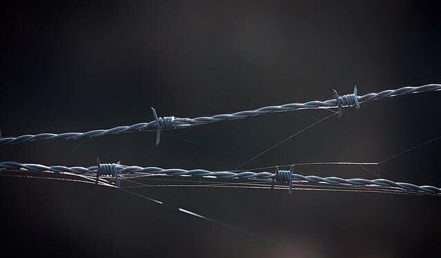 Safeguarding Academic Freedom: The Dar es Salaam Annex to the Kampala Declaration – African Arguments