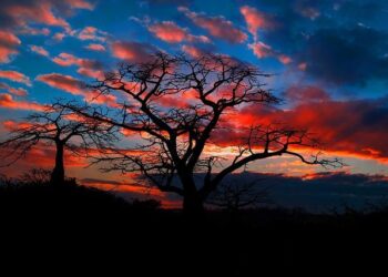 Angola’s New Airport Gateway Takes Shape, Prepares For New Operator – Aviation Week