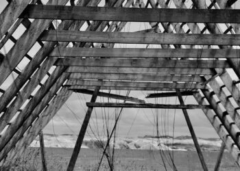 Zenlayer Launches Fabric Port in Singapore: Revolutionizing Global Digital Infrastructure – Devdiscourse